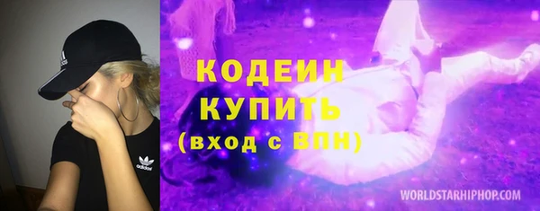 хмурый Ладушкин