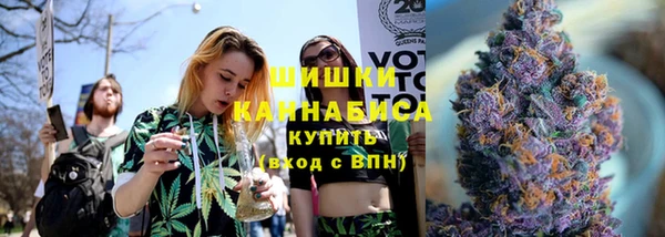 хмурый Ладушкин