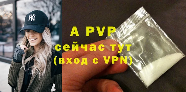 хмурый Ладушкин