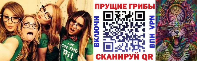 Купить закладки  Тосно  Псилоцибиновые грибы Psilocybe 