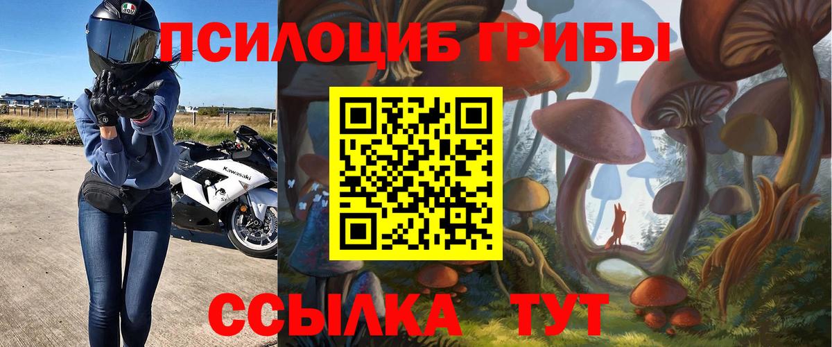 Галлюциногенные грибы MAGIC MUSHROOMS  Тосно  Псилоцибиновые грибы Psilocybine cubensis 