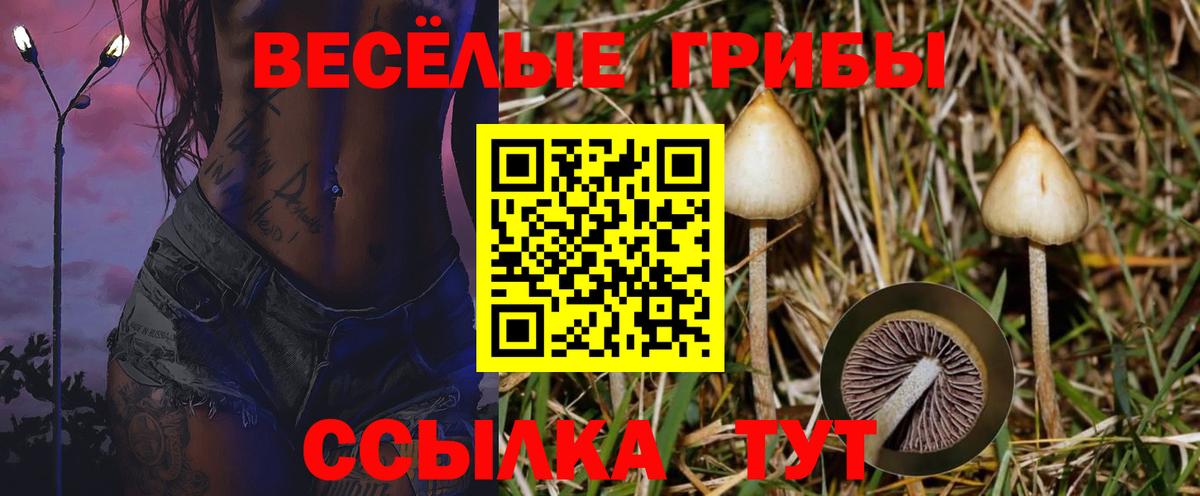Тосно  Галлюциногенные грибы мухоморы  Вход с VPN 