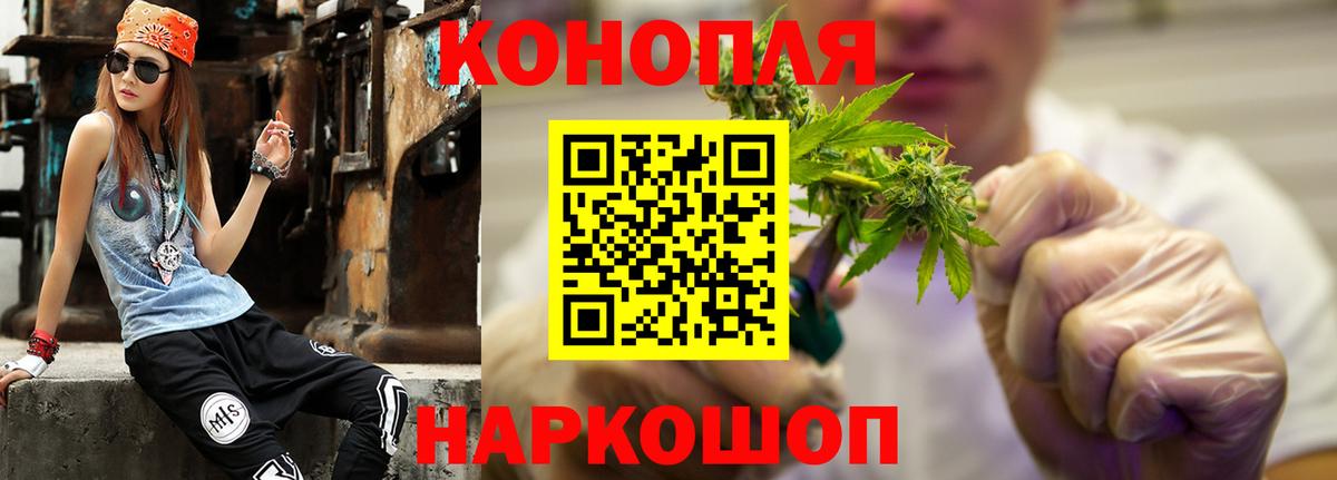 Каннабис планчик Тосно